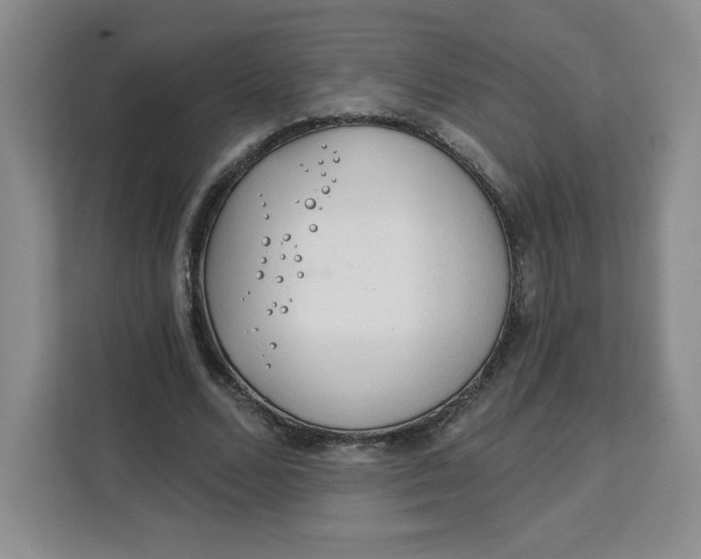 X0000111130680200907141211