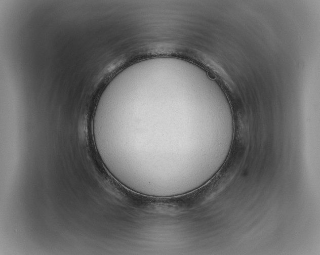 X0000111130681200907141211