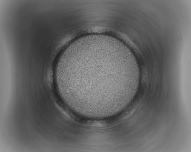 X0000111130683200907141211