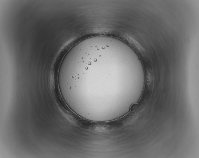 X0000111130684200907141211