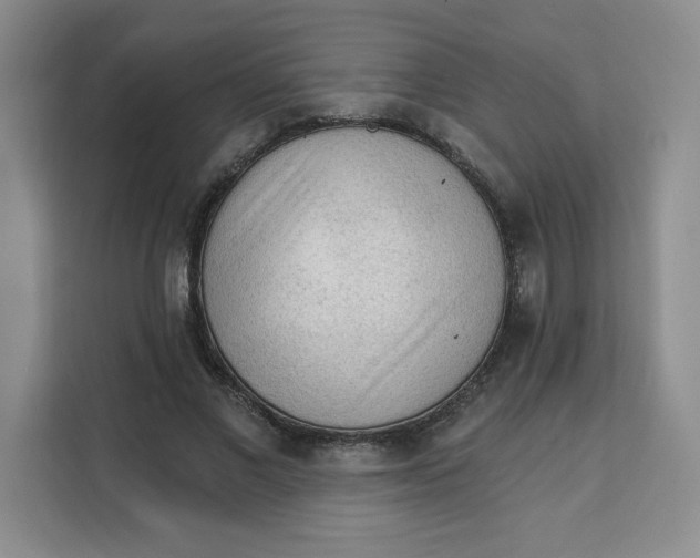 X0000111130685200907141211