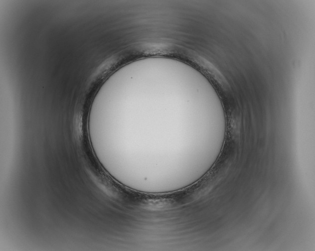 X0000111130686200907141211