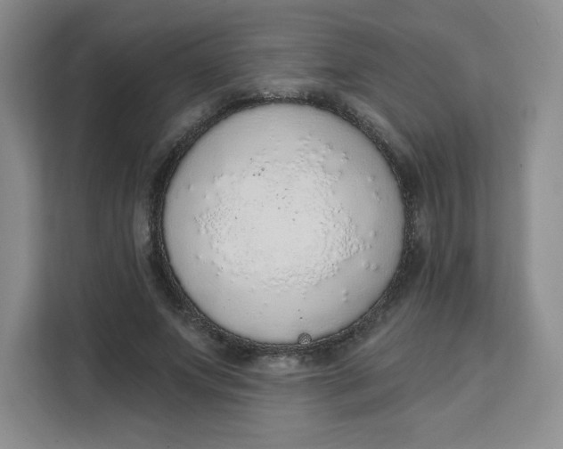X0000111130687200907141211