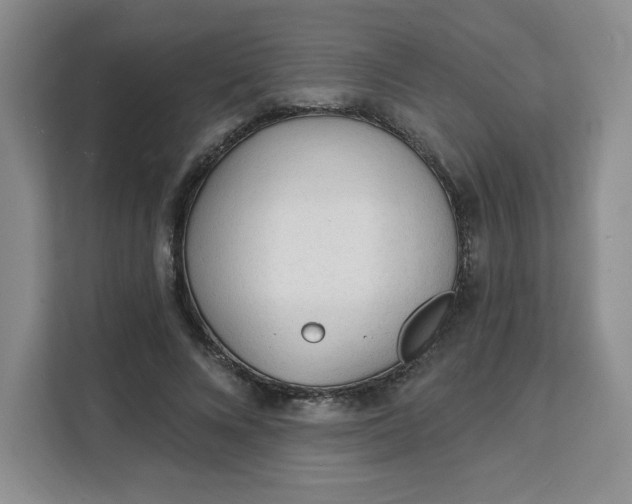 X0000111130688200907141211
