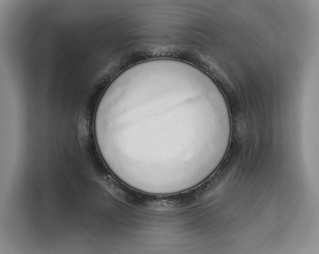 X0000111130691200907141211