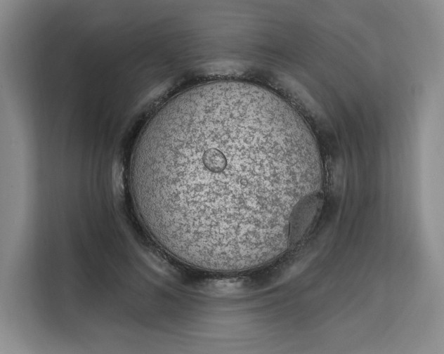 X0000111130692200907141211
