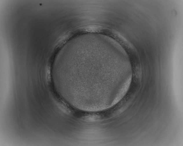 X0000111130696200907141211