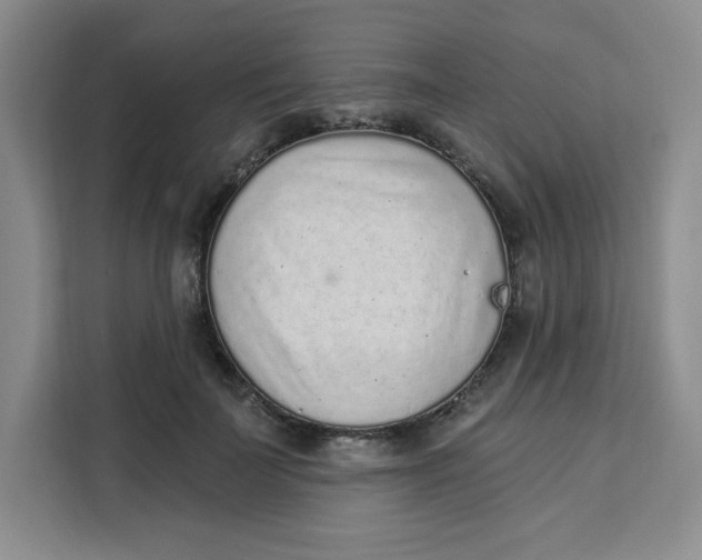 X0000111130699200907141211