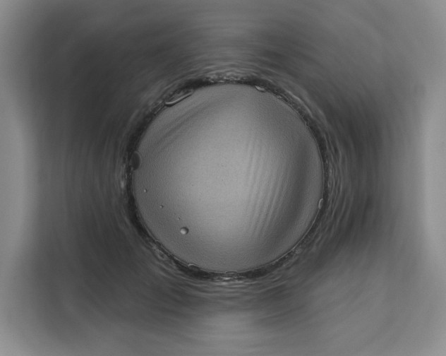 X0000111130701200907141211