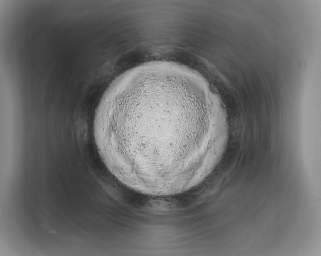 X0000111130703200907141211