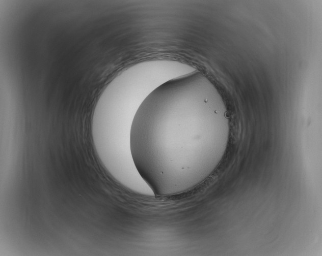 X0000111130704200907141211