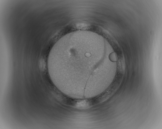 X0000111130705200907141211