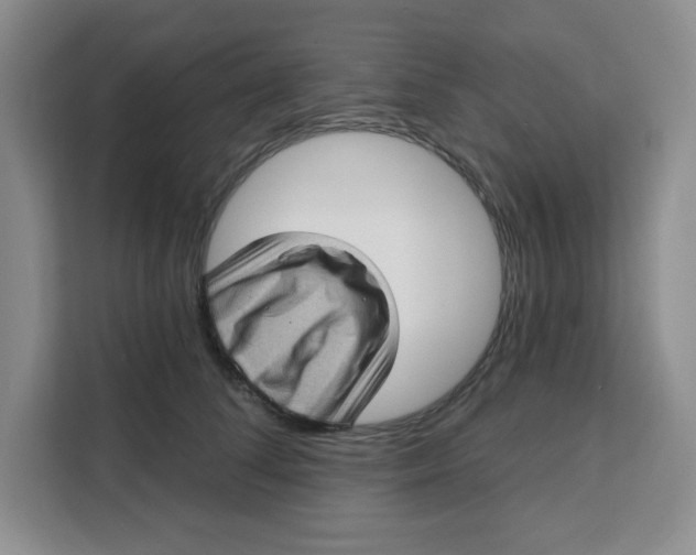 X0000111130708200907141211