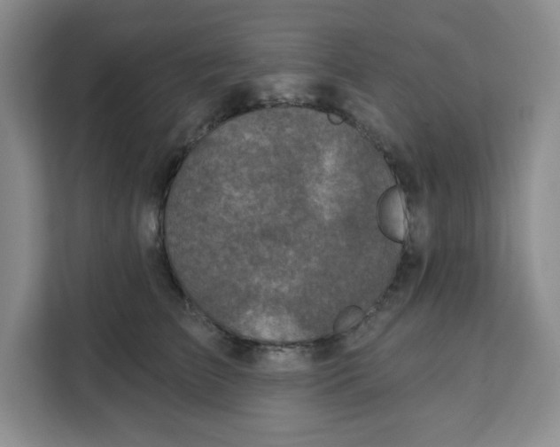X0000111130709200907141211