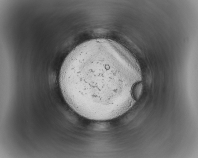 X0000111130711200907141211