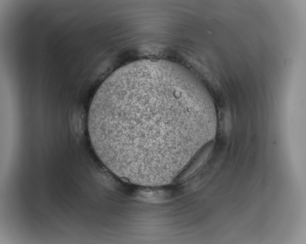 X0000111130712200907141211