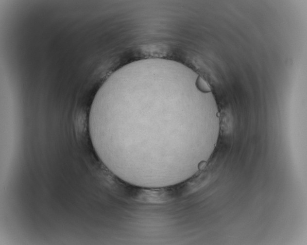 X0000111130713200907141211