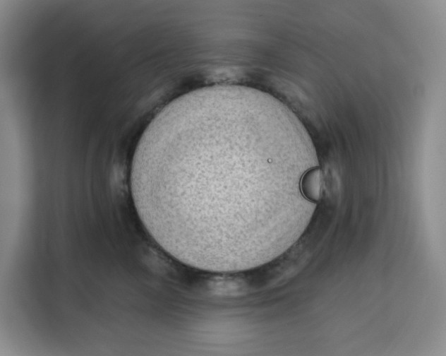 X0000111130714200907141211