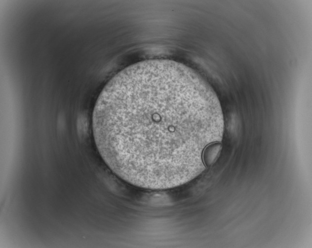 X0000111130715200907141211