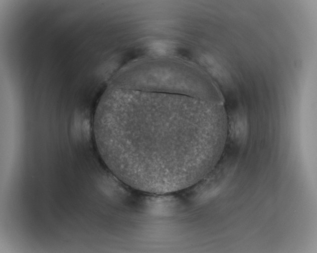 X0000111130716200907141211