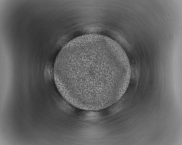 X0000111130718200907141211