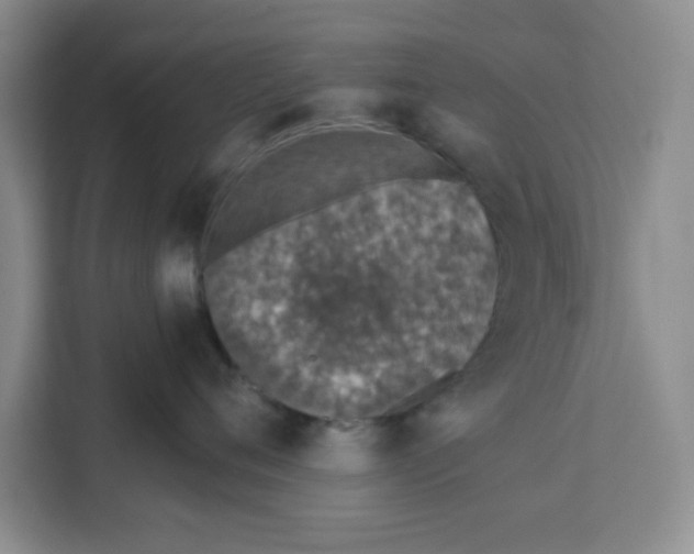 X0000111130720200907141211