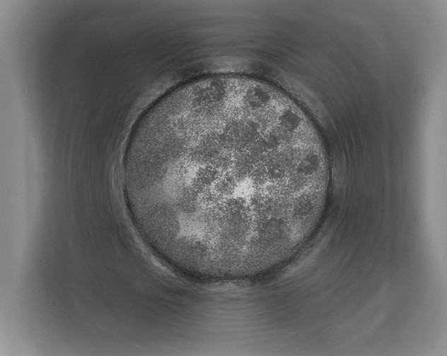 X0000111130721200907141210