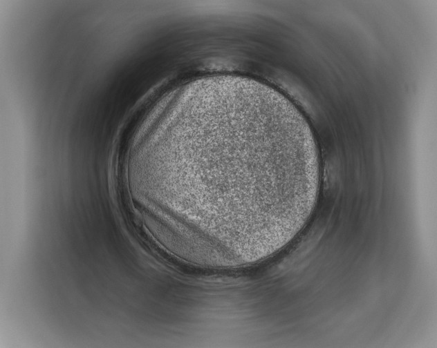 X0000111130722200907141210