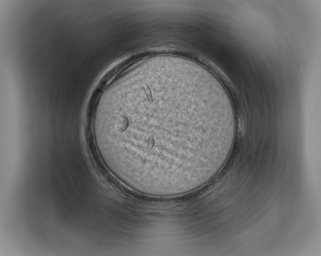 X0000111130724200907141210