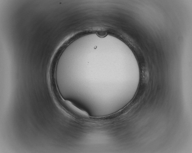 X0000111130726200907141210