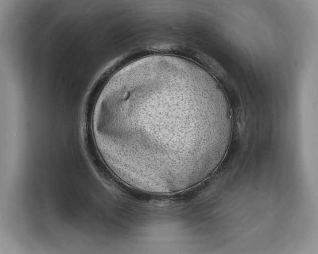 X0000111130728200907141210
