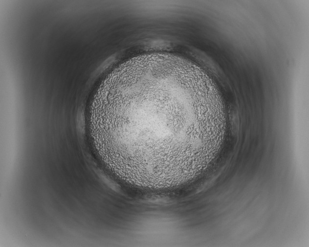 X0000111130729200907141210