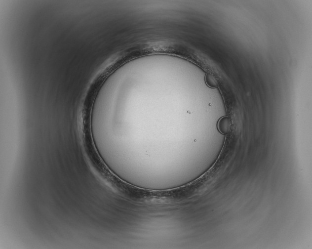 X0000111130730200907141210