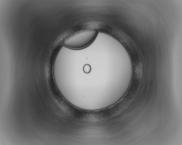 X0000111130732200907141210
