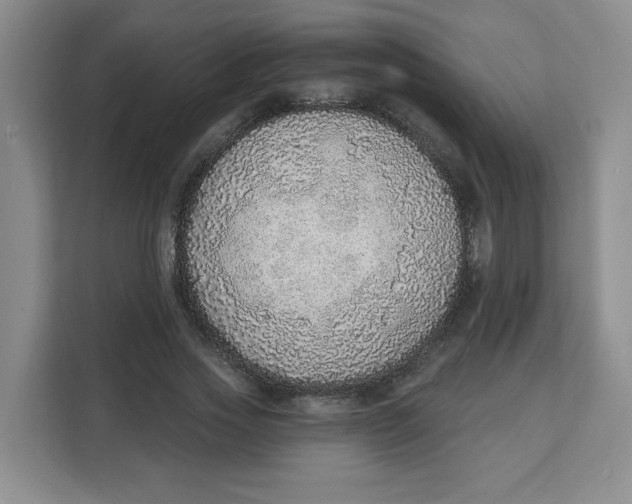 X0000111130733200907141210