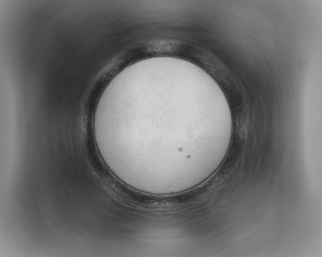 X0000111130735200907141210