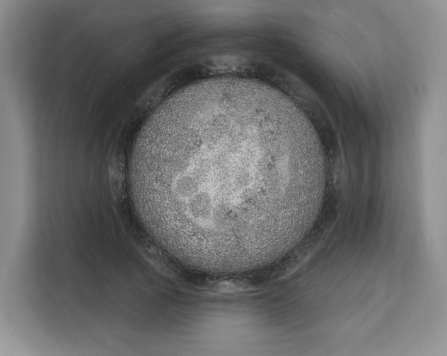 X0000111130737200907141210