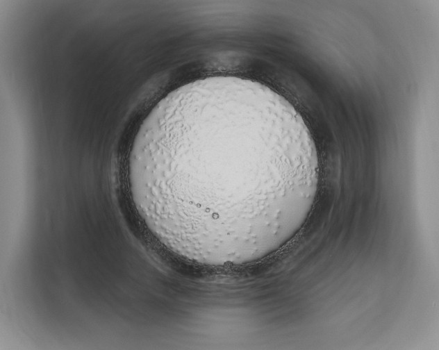 X0000111130738200907141210