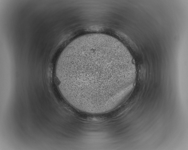 X0000111130739200907141210