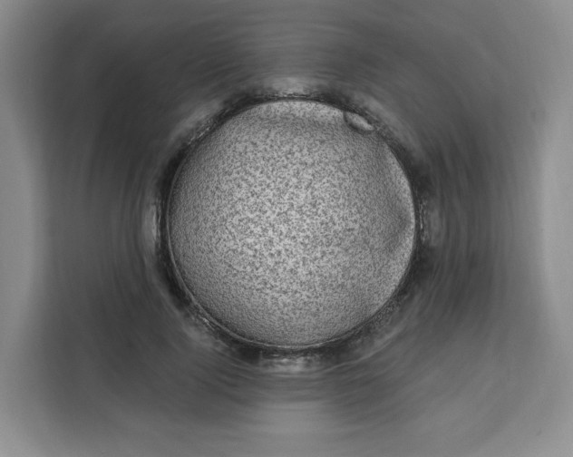 X0000111130740200907141210