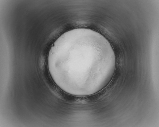 X0000111130742200907141210