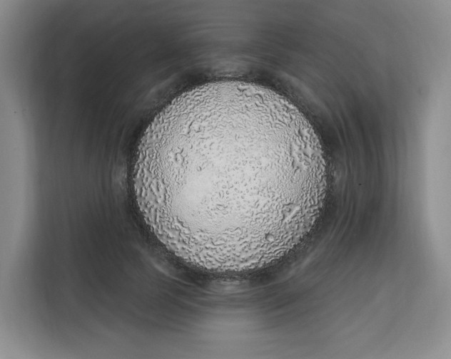 X0000111130745200907141210