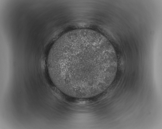 X0000111130746200907141210