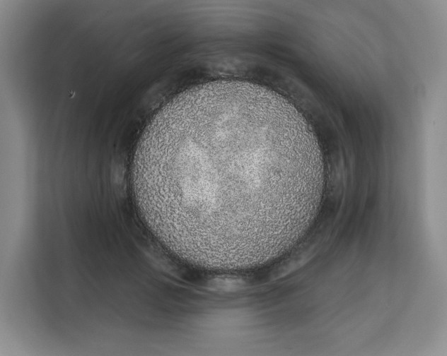 X0000111130749200907141210