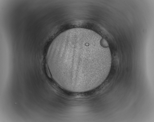 X0000111130750200907141210