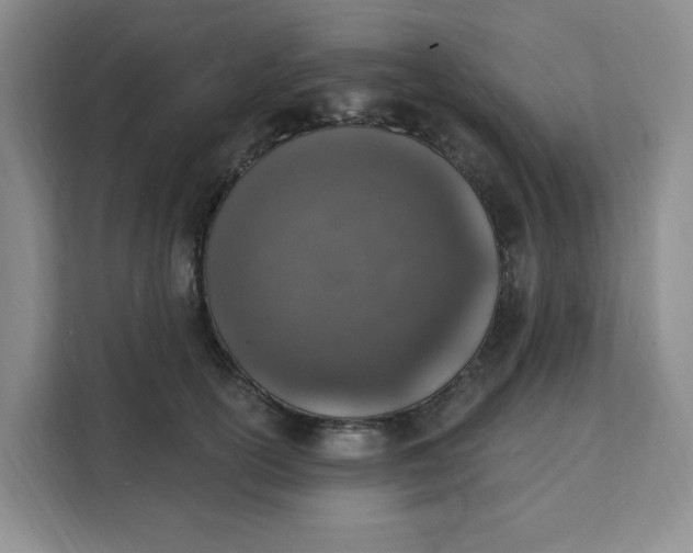 X0000111130754200907141210