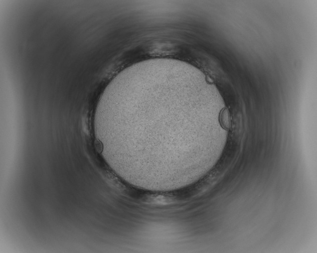 X0000111130755200907141210