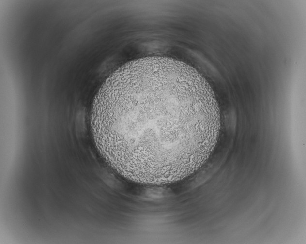 X0000111130757200907141210