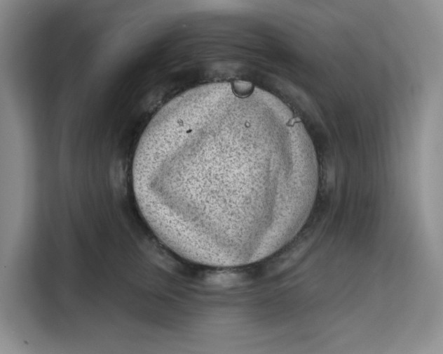 X0000111130759200907141211
