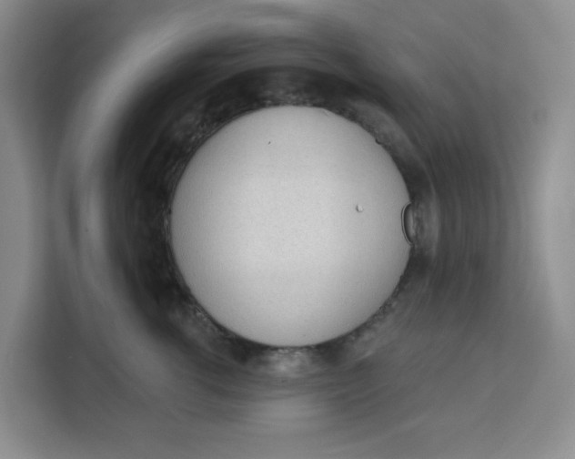 X0000111130762200907141211